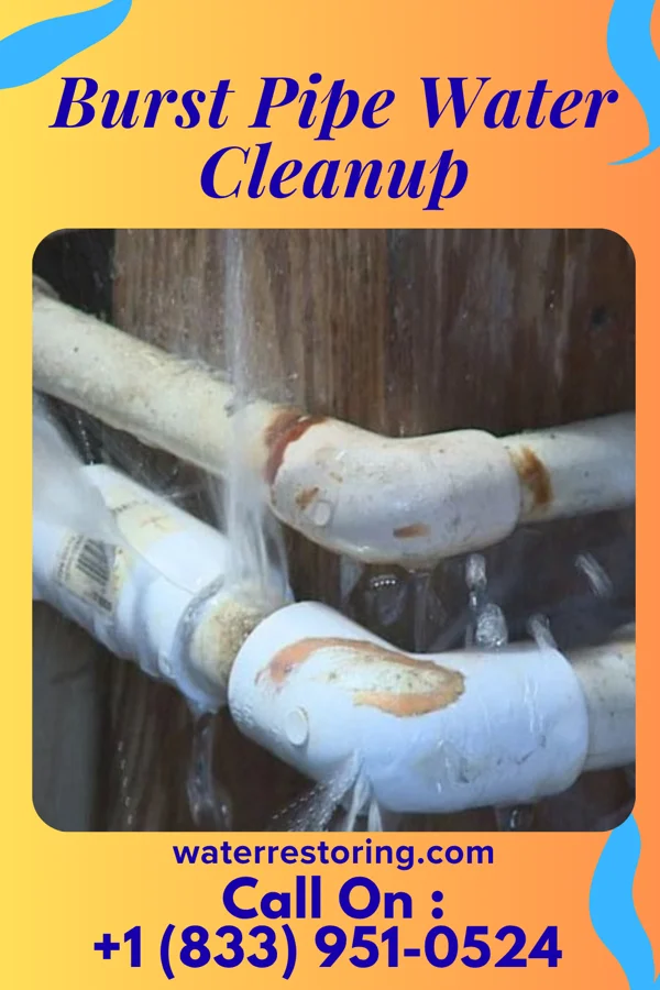Burst Pipe Water Cleanup in Albany, GA