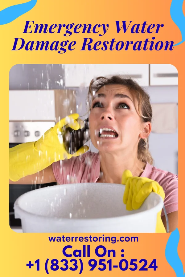 Emergency Water Damage Restoration in Albany, GA
