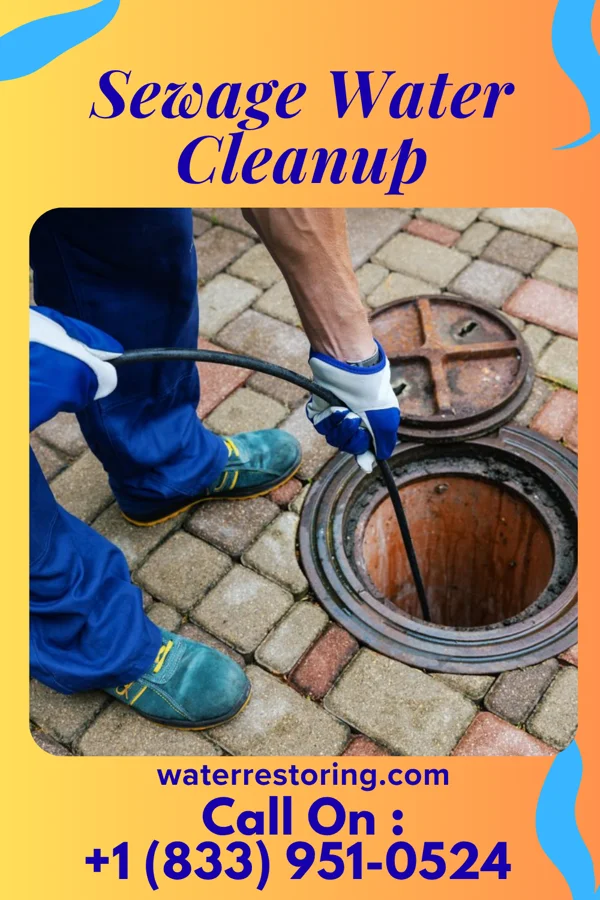Sewage Water Cleanup in Albany, GA