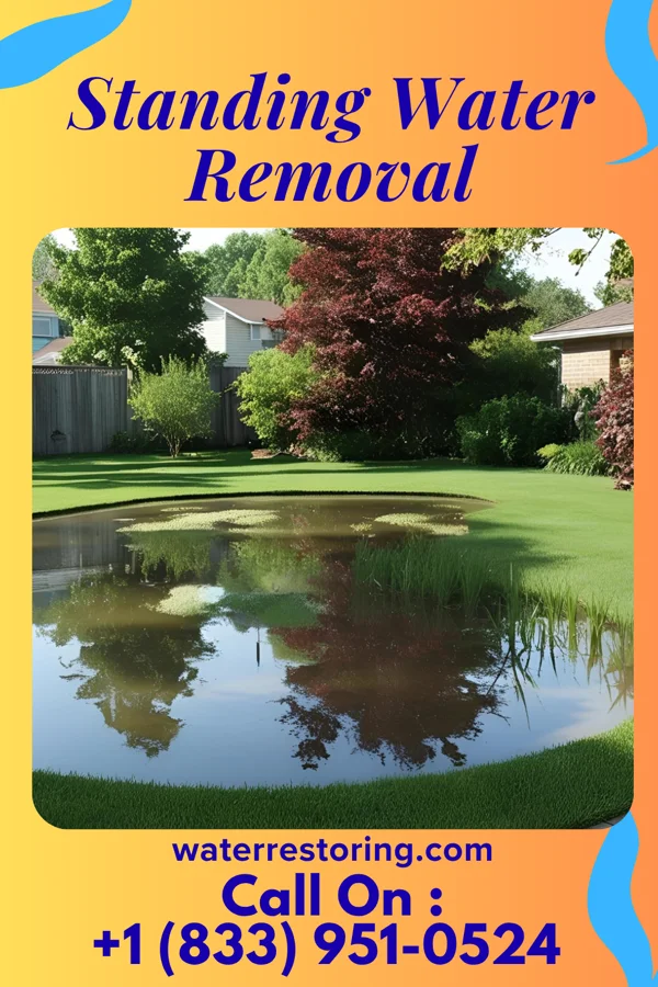 Standing Water Removal in Albany, GA